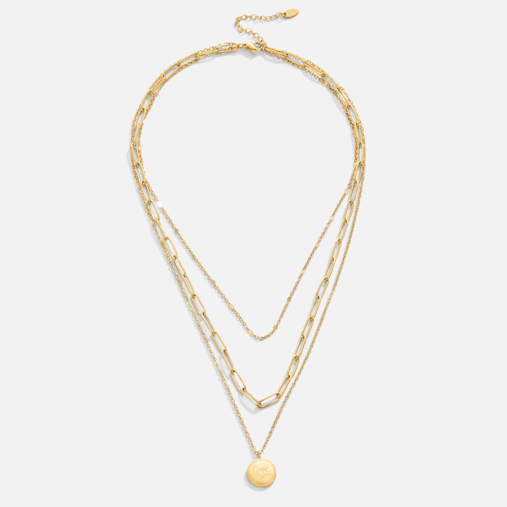 Collar de Moneda Janie